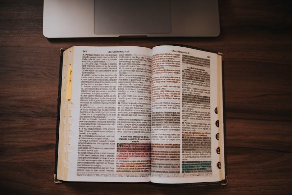 document category thumbnail