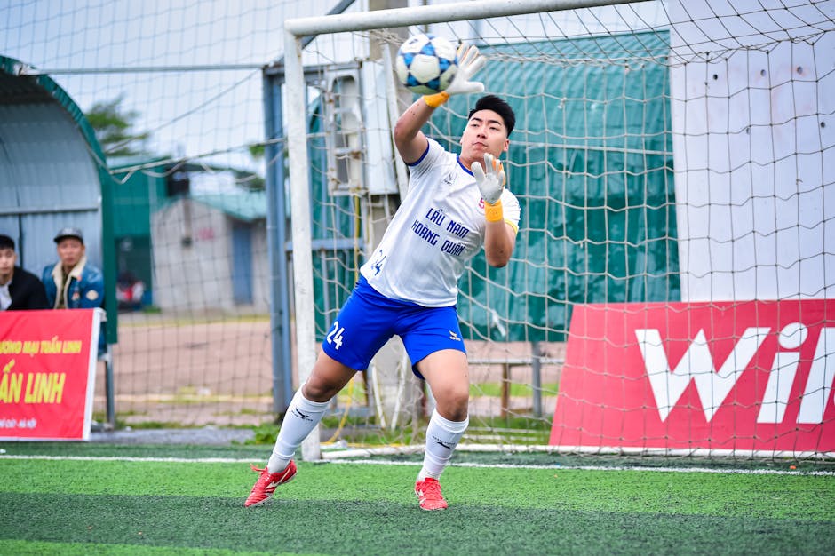 document category thumbnail